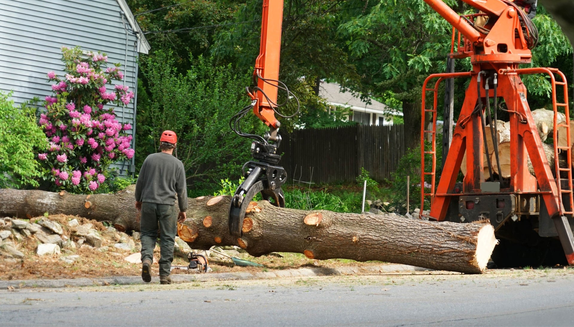 Local partner for Tree removal services in Hanover